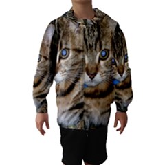 Blue-eyed Kitty Hooded Wind Breaker (kids) by trendistuff