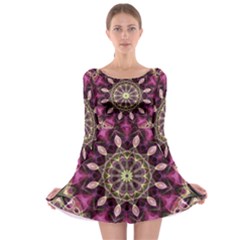 Purple Flower Long Sleeve Skater Dress by Zandiepants