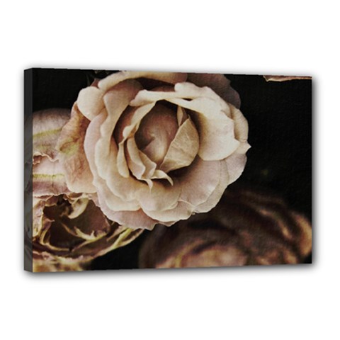 Roses Flowers Canvas 18  X 12  by vanessagf