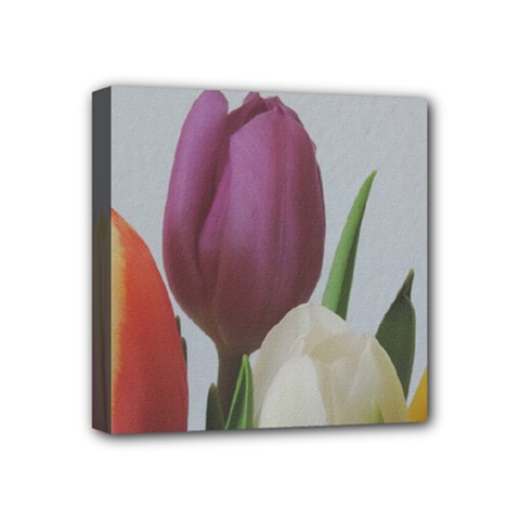 Tulips Mini Canvas 4  X 4  by picsaspassion