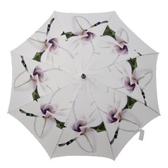 White Magnolia Pencil Drawing Art Hook Handle Umbrellas (small) by picsaspassion