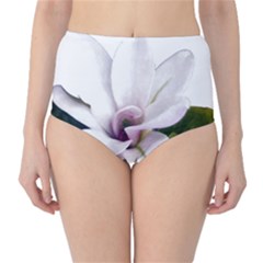 Magnolia Wit Aquarel Painting Art High-waist Bikini Bottoms by picsaspassion