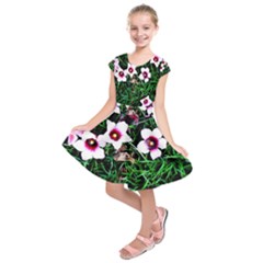 Pink Flowers Over A Green Grass Kids  Short Sleeve Dress by DanaeStudio