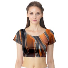 Fractal Structure Mathematics Short Sleeve Crop Top (tight Fit) by Amaryn4rt