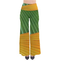 Pattern Colorful Palm Leaves Pants by Amaryn4rt