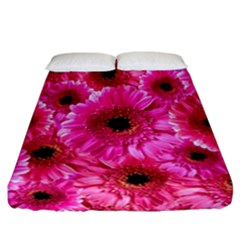 Gerbera Flower Nature Pink Blosso Fitted Sheet (california King Size) by Nexatart