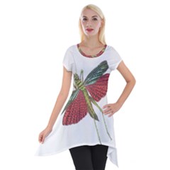 Grasshopper Insect Animal Isolated Short Sleeve Side Drop Tunic by Nexatart