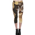 Owl And Black Cat Capri Leggings  View1