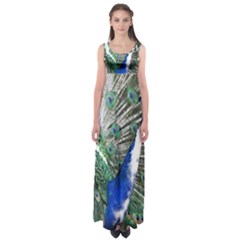 Animal Photography Peacock Bird Empire Waist Maxi Dress by Amaryn4rt