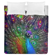 3d Peacock Pattern Duvet Cover Double Side (queen Size) by Amaryn4rt