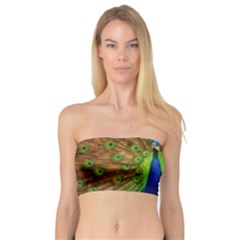 3d Peacock Bird Bandeau Top by Amaryn4rt