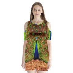 3d Peacock Bird Shoulder Cutout Velvet  One Piece by Amaryn4rt