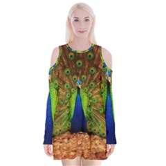 3d Peacock Bird Velvet Long Sleeve Shoulder Cutout Dress by Amaryn4rt