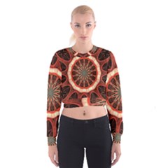 Circle Pattern Women s Cropped Sweatshirt by Amaryn4rt