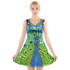 Peacock Bird Animation V-neck Sleeveless Skater Dress by Simbadda