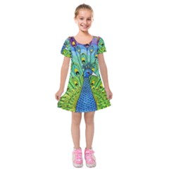 Peacock Bird Animation Kids  Short Sleeve Velvet Dress by Simbadda