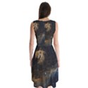 Seagull Nebula Sleeveless Chiffon Dress   View2