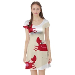 Sand Animals Red Crab Short Sleeve Skater Dress by Mariart