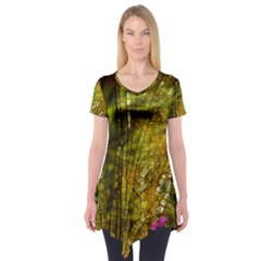 Dragonfly Dragonfly Wing Insect Short Sleeve Tunic  by Nexatart