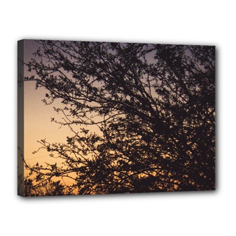 Arizona Sunset Canvas 16  X 12  by JellyMooseBear