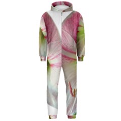 Flower Blossom Bloom Amaryllis Hooded Jumpsuit (men)  by Nexatart