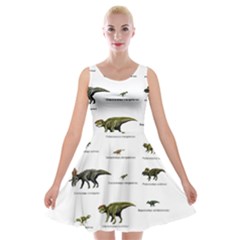 Dinosaurs Names Velvet Skater Dress by Valentinaart