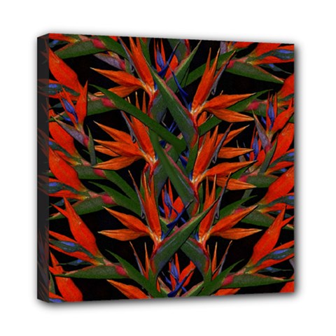 Bird Of Paradise Mini Canvas 8  X 8  by Valentinaart