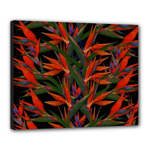 Bird Of Paradise Canvas 20  X 16  by Valentinaart