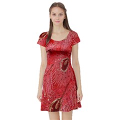 Red Peacock Floral Embroidered Long Qipao Traditional Chinese Cheongsam Mandarin Short Sleeve Skater Dress by BangZart