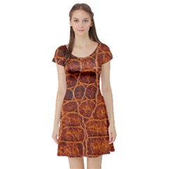 Crocodile Skin Texture Short Sleeve Skater Dress by BangZart