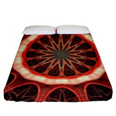 Circle Pattern Fitted Sheet (queen Size) by BangZart