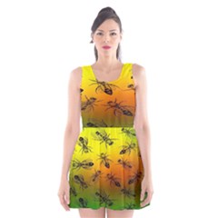 Insect Pattern Scoop Neck Skater Dress by BangZart