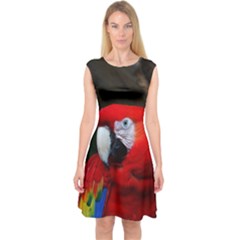 Scarlet Macaw Bird Capsleeve Midi Dress by BangZart