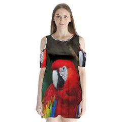 Scarlet Macaw Bird Shoulder Cutout Velvet  One Piece by BangZart