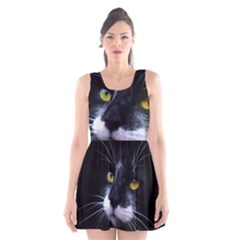 Face Black Cat Scoop Neck Skater Dress by BangZart