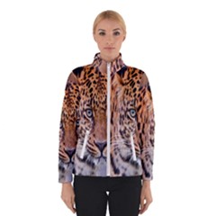 Tiger Beetle Lion Tiger Animals Leopard Winterwear by Mariart