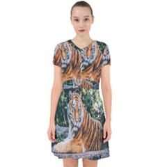 Animal Big Cat Safari Tiger Adorable In Chiffon Dress by Celenk