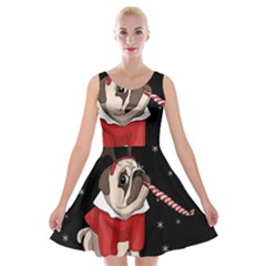 Pug Xmas Velvet Skater Dress by Valentinaart