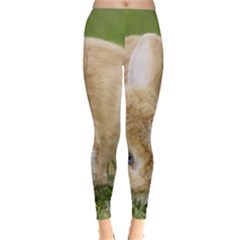 Beautiful Blue Eyed Bunny On Green Grass Leggings  by Ucco