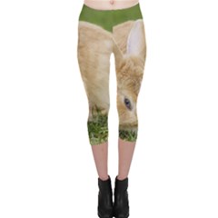 Beautiful Blue Eyed Bunny On Green Grass Capri Leggings  by Ucco