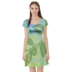 Green Leaves Background Scrapbook Short Sleeve Skater Dress by Celenk