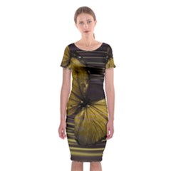 Butterfly Insect Wave Concentric Classic Short Sleeve Midi Dress by Celenk