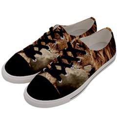 Roaring Lion Men s Low Top Canvas Sneakers by Celenk