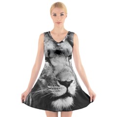 Africa Lion Male Closeup Macro V-neck Sleeveless Skater Dress by BangZart