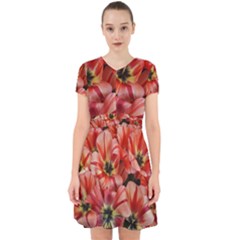 Tulips Flowers Spring Adorable In Chiffon Dress by BangZart