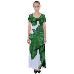 Plant Berry Leaves Green Flower High Waist Short Sleeve Maxi Dress by BangZart