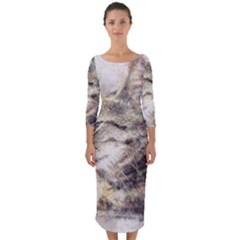 Cat Animal Art Abstract Watercolor Quarter Sleeve Midi Bodycon Dress by Celenk