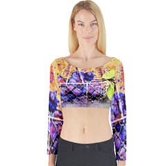 Fruit Plums Art Abstract Nature Long Sleeve Crop Top by Celenk