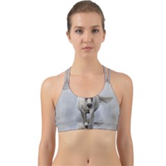 Horse Mammal White Horse Animal Back Web Sports Bra by Celenk