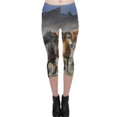 Horses Stampede Nature Running Capri Leggings  by Celenk